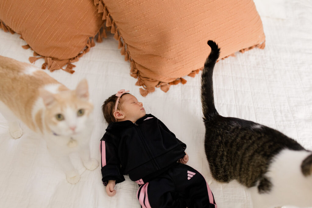Newborn wearing a matching black and pink tracksuit lies on a bed beside the family cats, showcasing a fun, personal what to wear idea for lifestyle newborn photos.