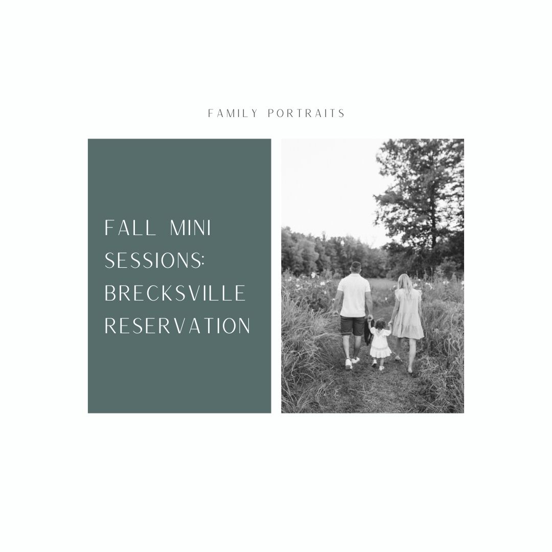 fall mini sessions